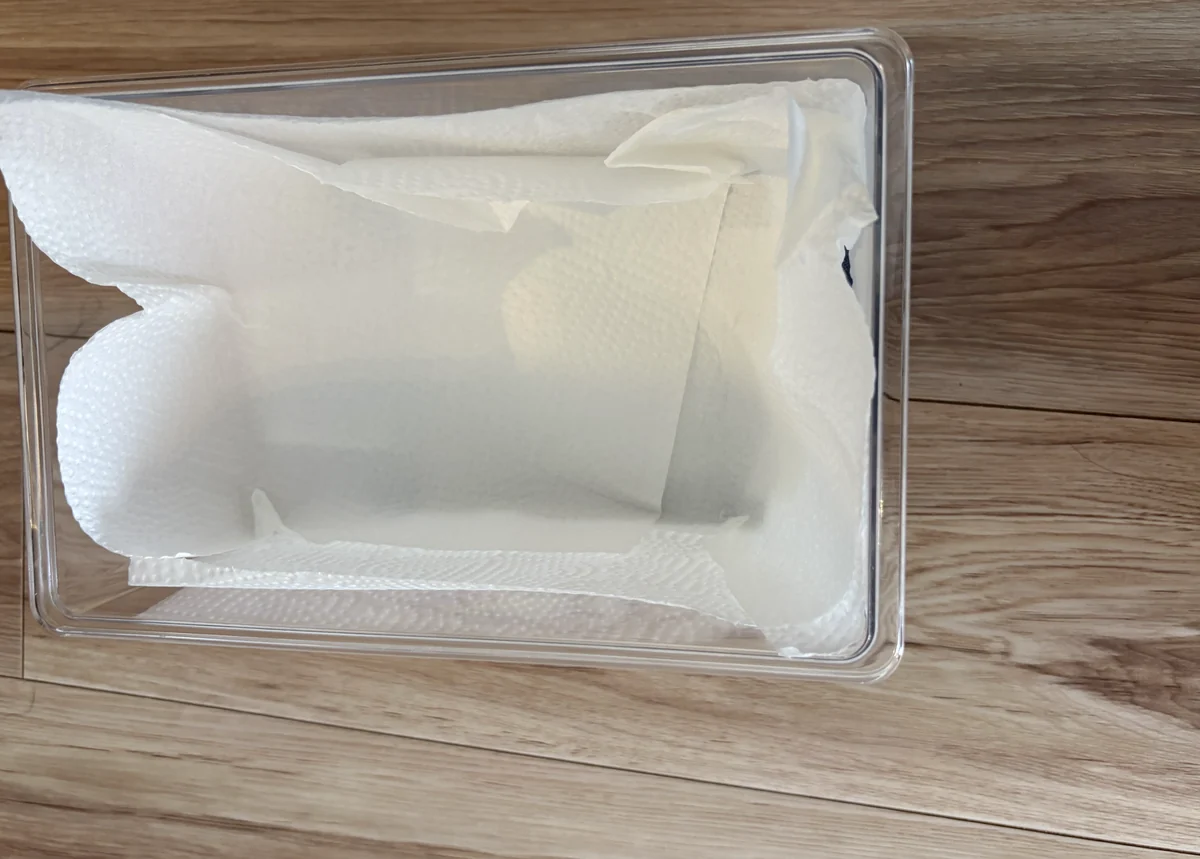プラスチックケースの底に、キッチンペーパーを敷いた状態