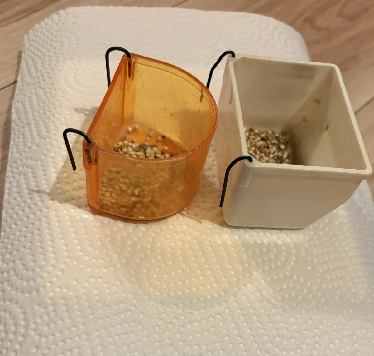 餌箱2つ。白い箱とオレンジの箱に、食べ残しの餌が入っている